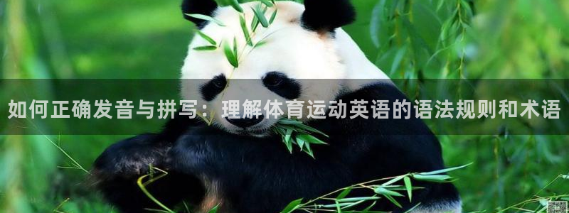 意昂F凯捷2体育