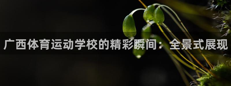 意昂F凯捷体育网页版入口