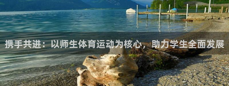 意昂F凯捷官网