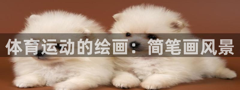 意昂F凯捷vk