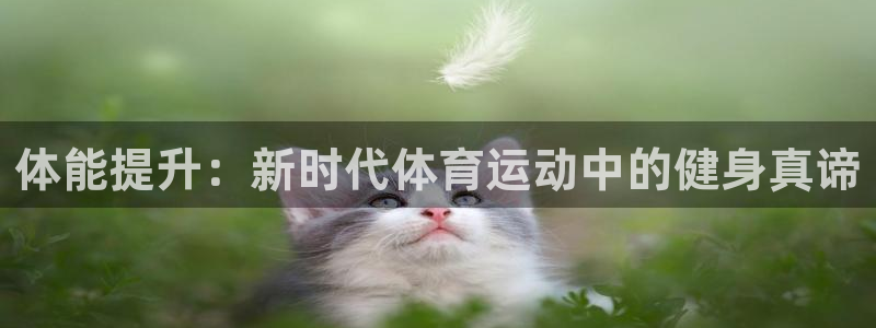 成都意昂电子有限公司