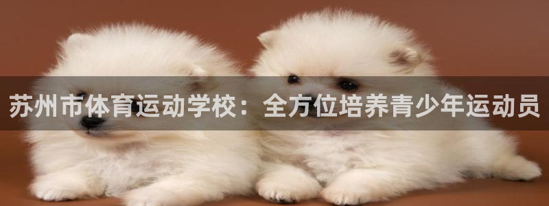 意昂F凯捷3官网登录