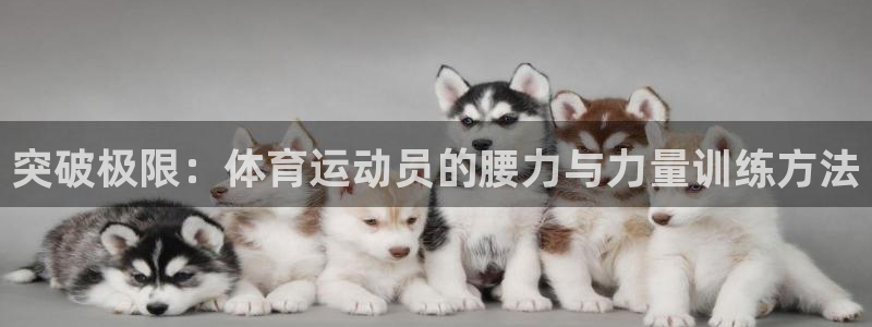 意昂F凯捷f凯捷注册